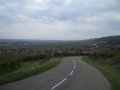Vogesen
